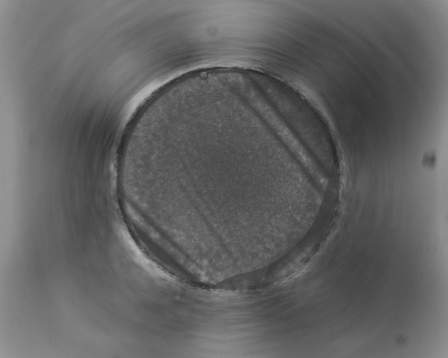 X0000112850944200909181732