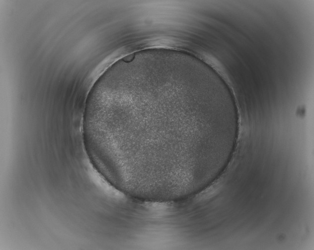 X0000112850946200909181732