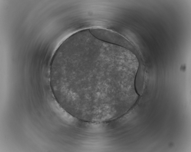 X0000112850948200909181732