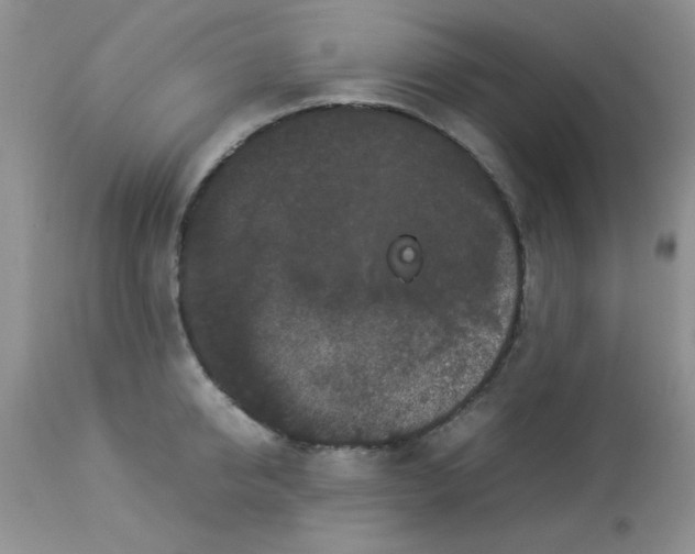 X0000112850950200909181732