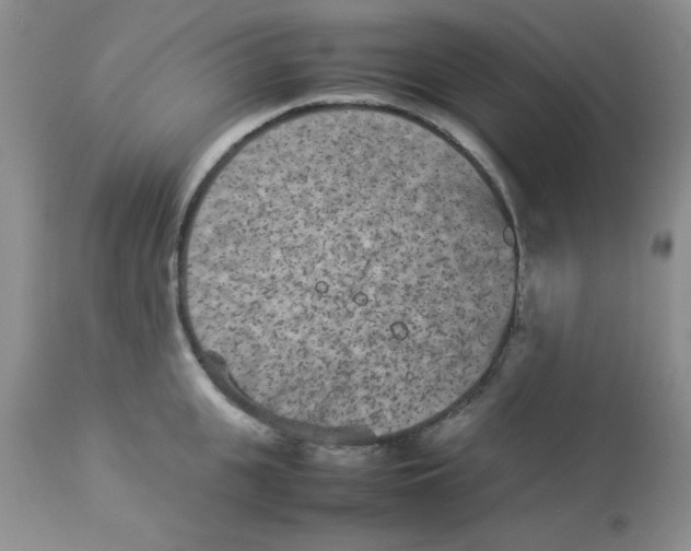 X0000112850951200909181732