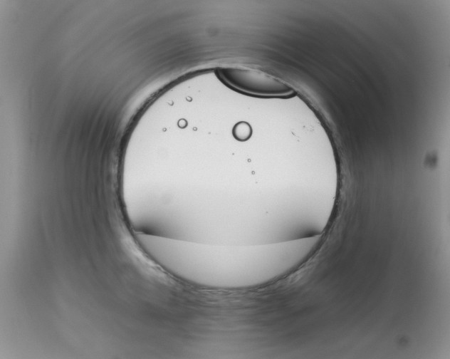 X0000112850952200909181733