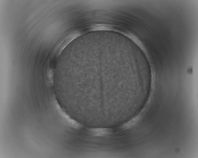 X0000112850953200909181733