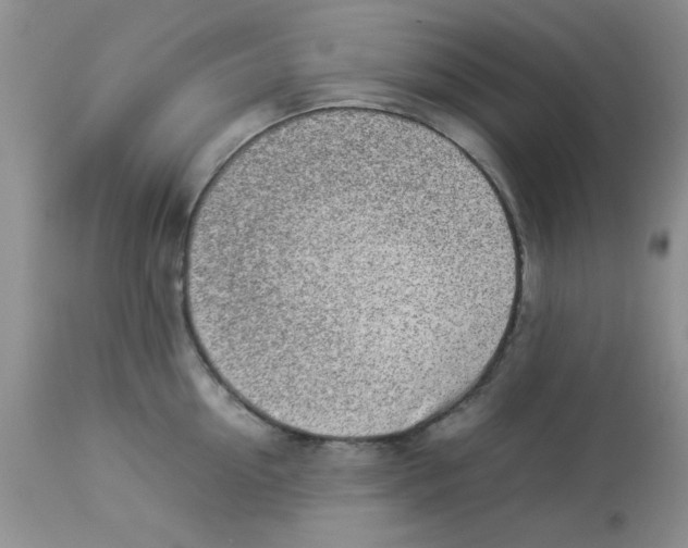 X0000112850954200909181733