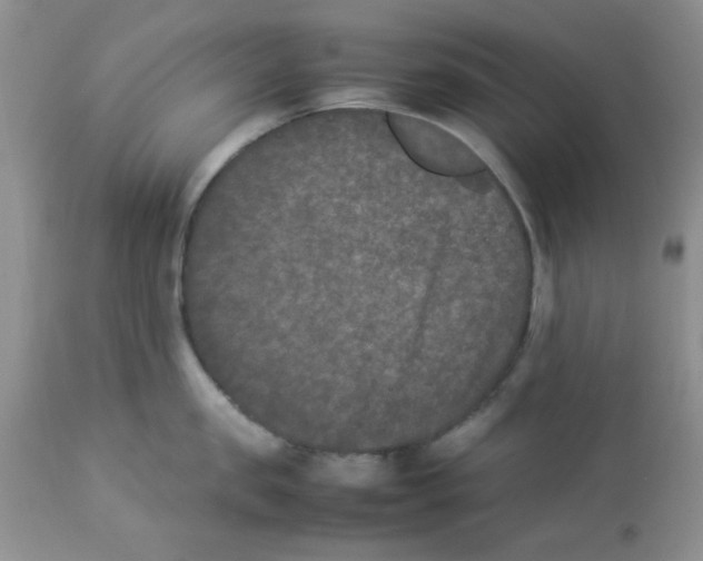 X0000112850957200909181733