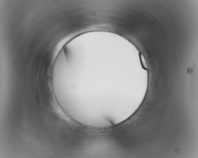 X0000112850960200909181733