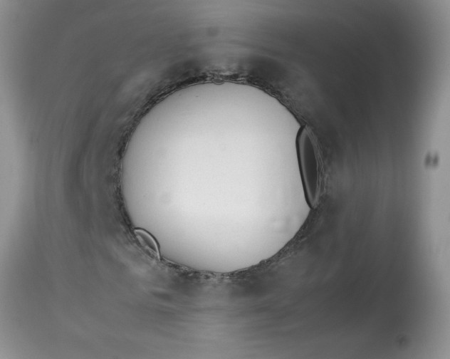 X0000112850961200909181732