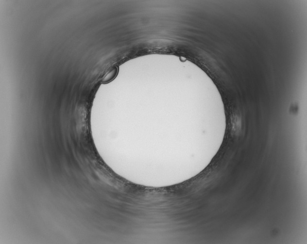 X0000112850964200909181732