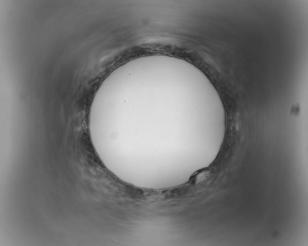 X0000112850965200909181732