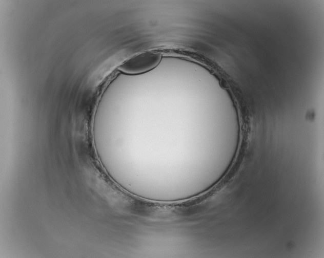 X0000112850969200909181732