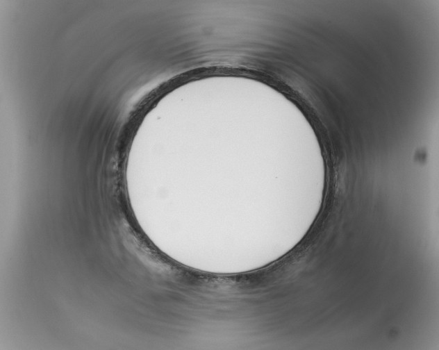 X0000112850971200909181732