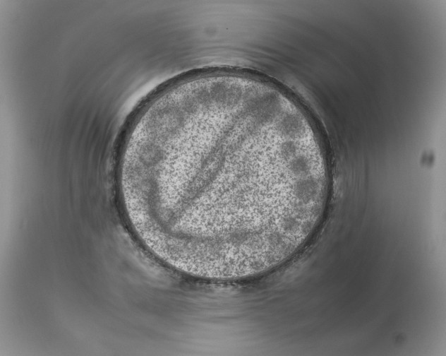 X0000112850975200909181732