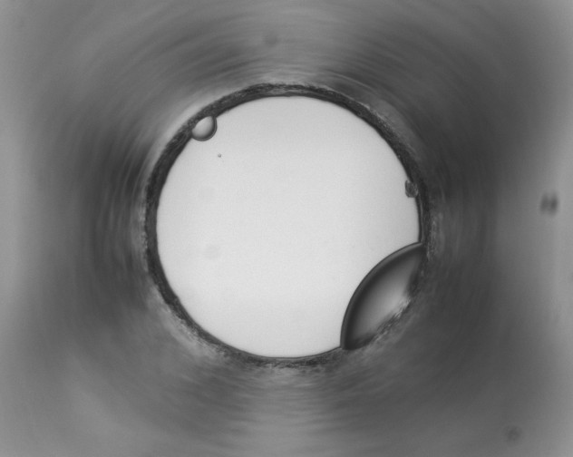 X0000112850976200909181732