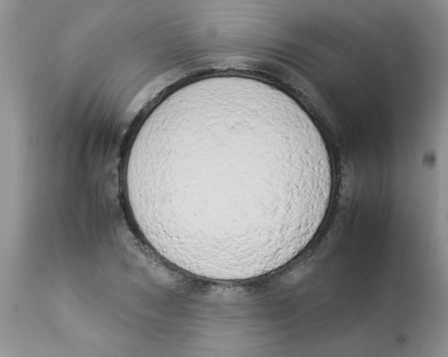 X0000112850978200909181732