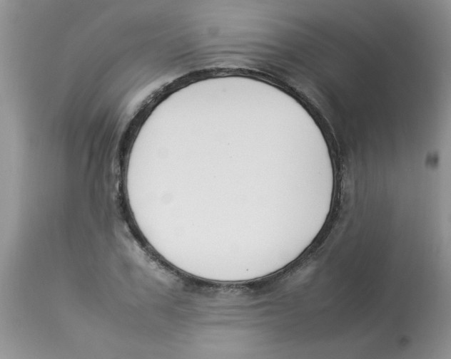 X0000112850979200909181732