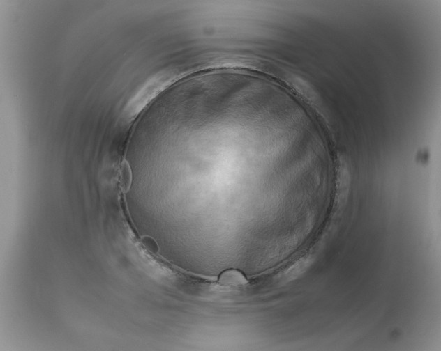 X0000112850985200909181731