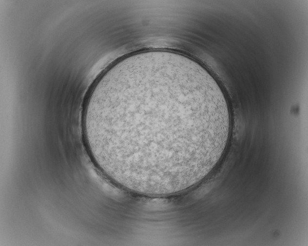 X0000112850986200909181731