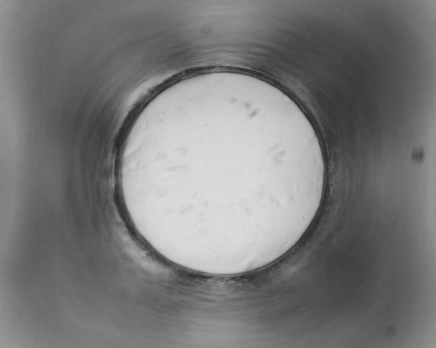 X0000112850987200909181731