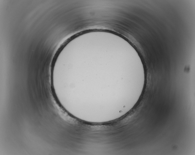 X0000112850988200909181731