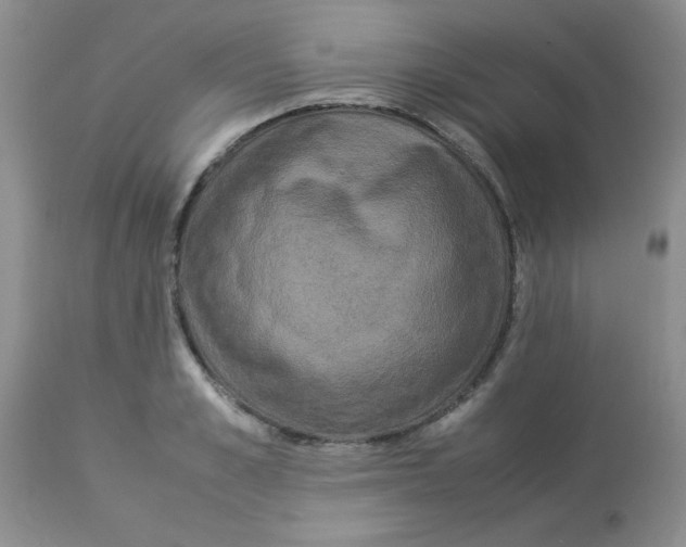 X0000112850989200909181731