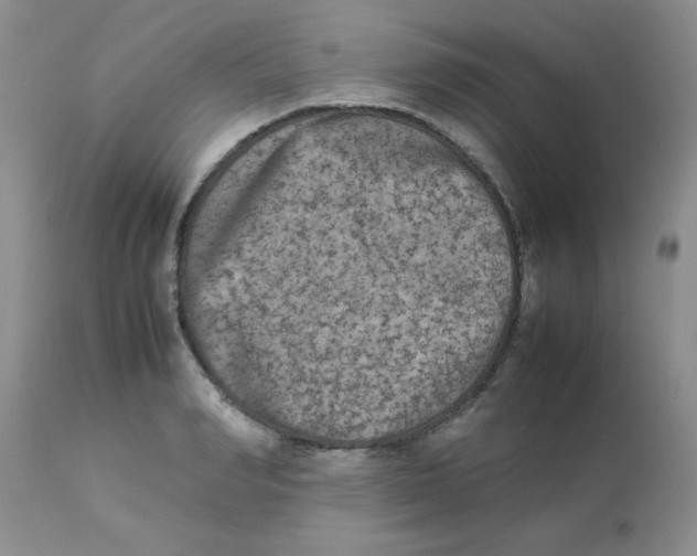 X0000112850990200909181731