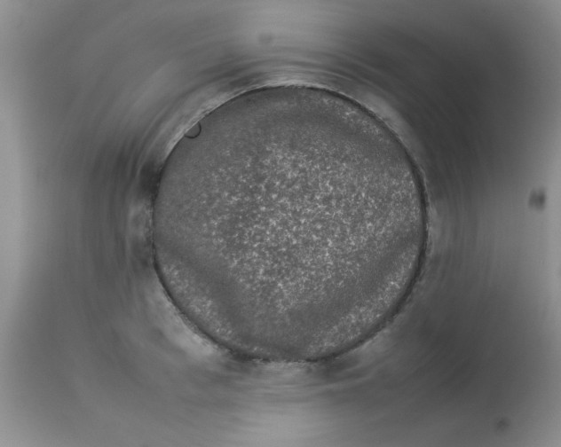 X0000112850993200909181731