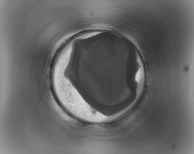 X0000112850995200909181731