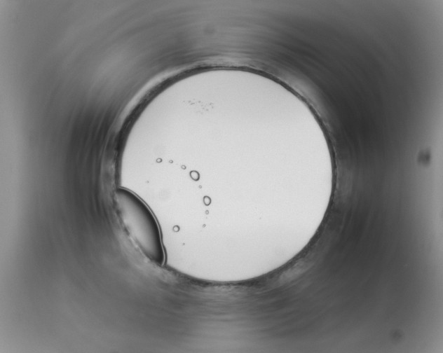 X0000112851000200909181731