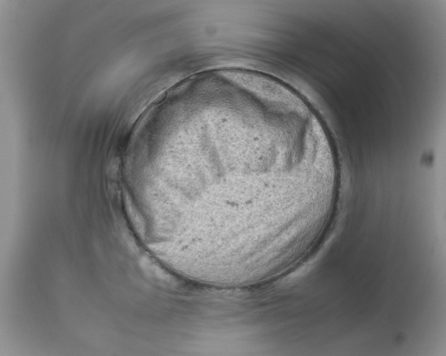 X0000112851001200909181731