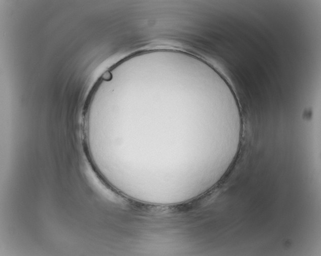 X0000112851003200909181731