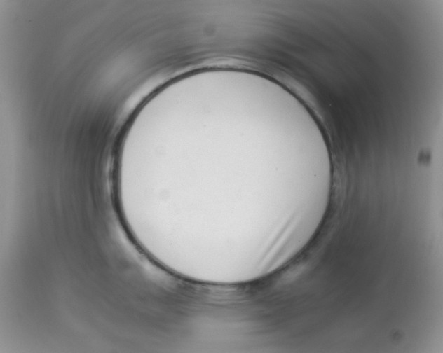 X0000112851007200909181731