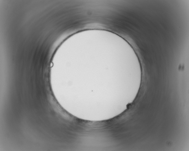 X0000112851008200909181731