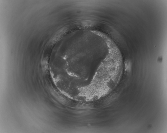 X0000112851011200909181730