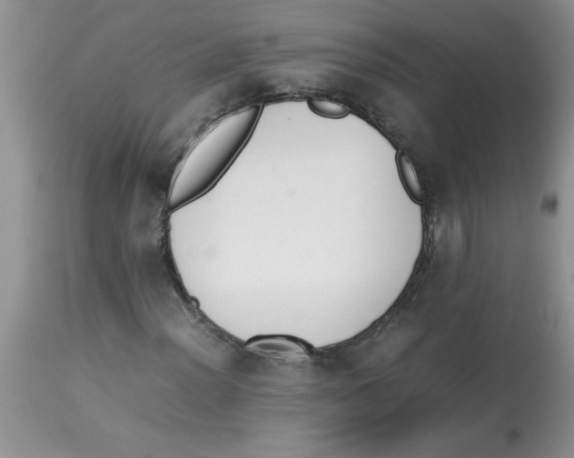 X0000112851012200909181730