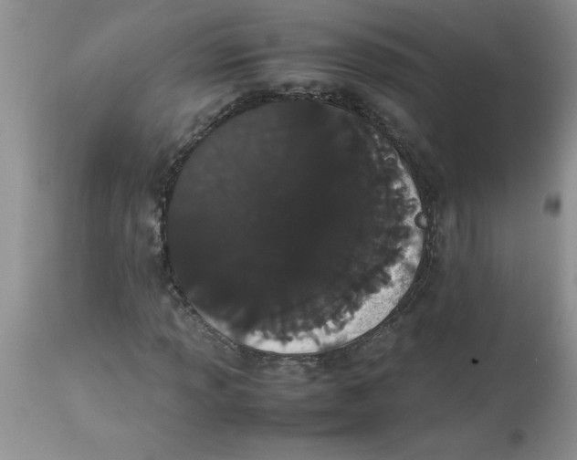 X0000112851013200909181730