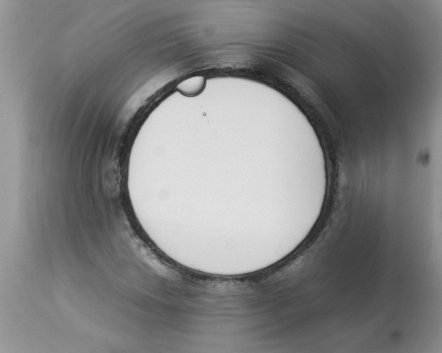 X0000112851018200909181730