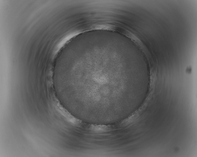 X0000112851019200909181730