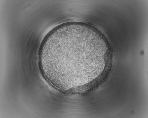 X0000112851024200909181731