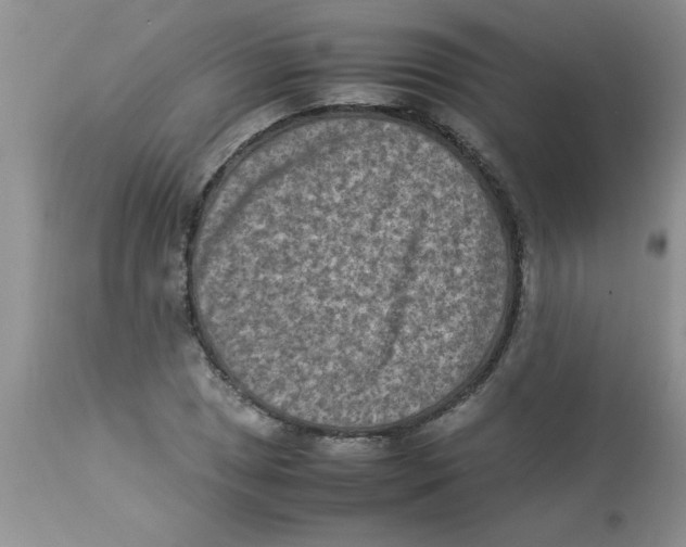 X0000112851025200909181731