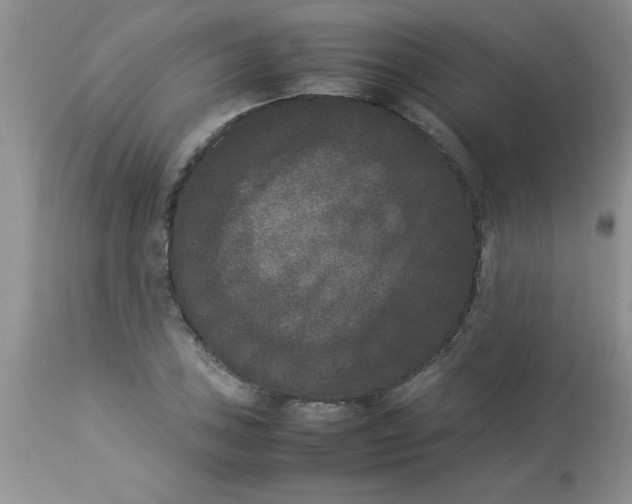 X0000112851027200909181731