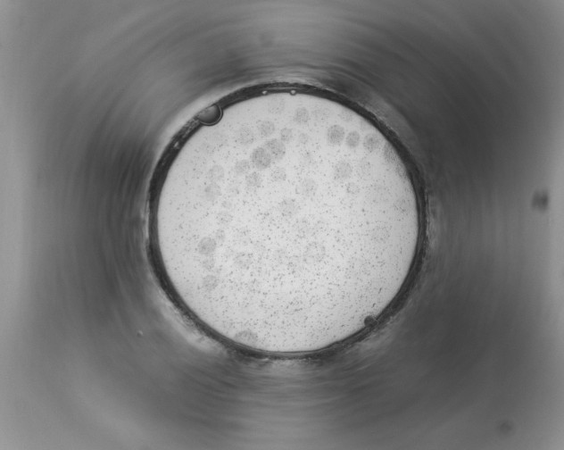 X0000112851028200909181731