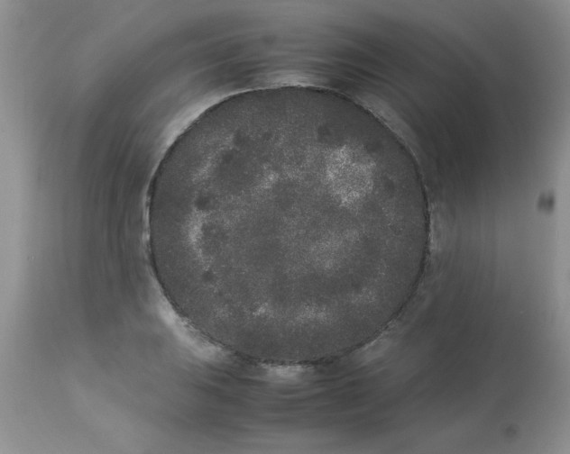 X0000112851031200909181731