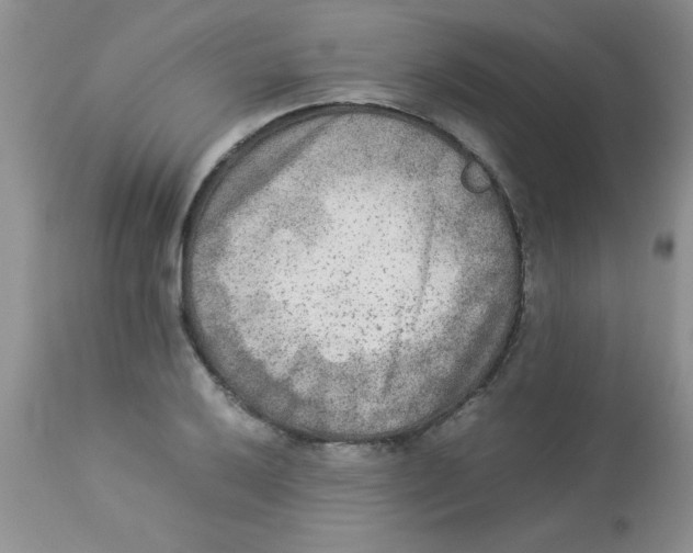 X0000112851032200909181731