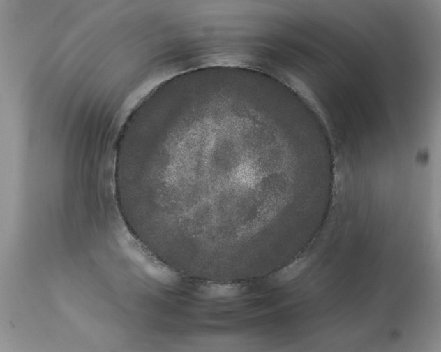 X0000112851035200909181731