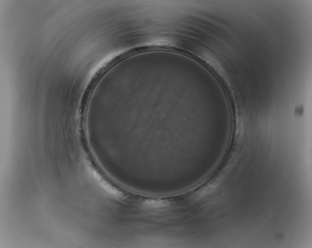 X0000112851037200909181731