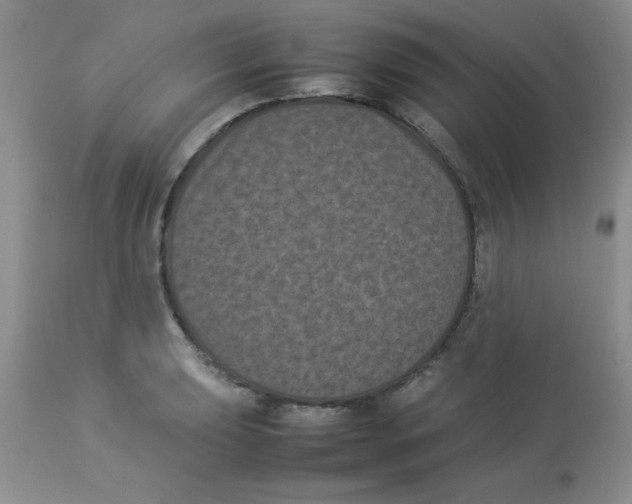 X0000112851039200909181731