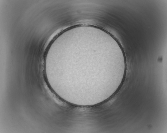 X0000112851040200909181731