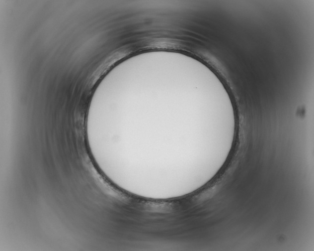 X0000112851041200909181731