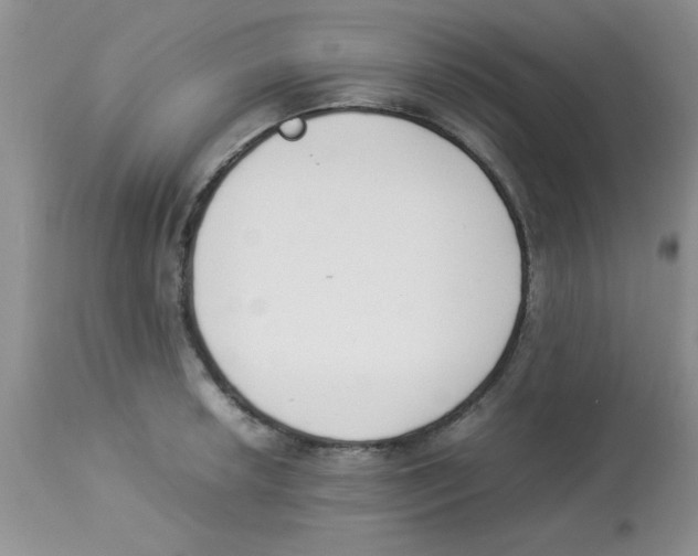 X0000112851042200909181731