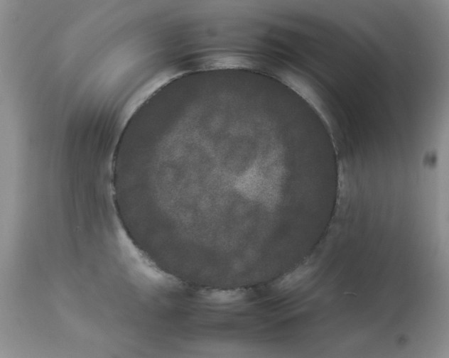 X0000112851047200909181731